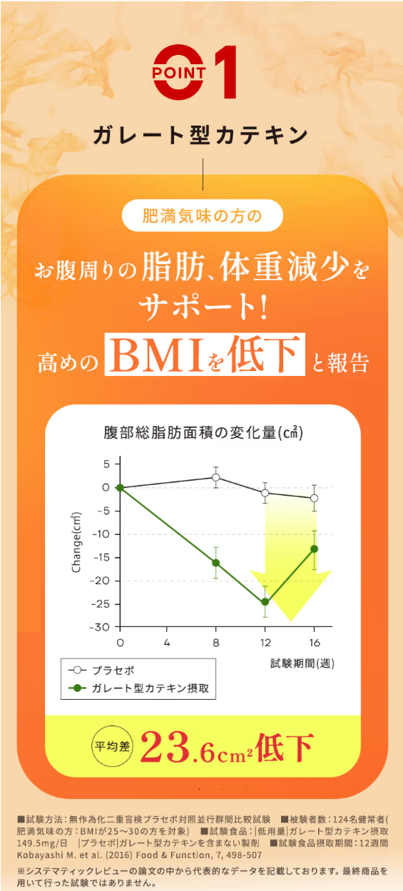 脂肪を落とすお茶