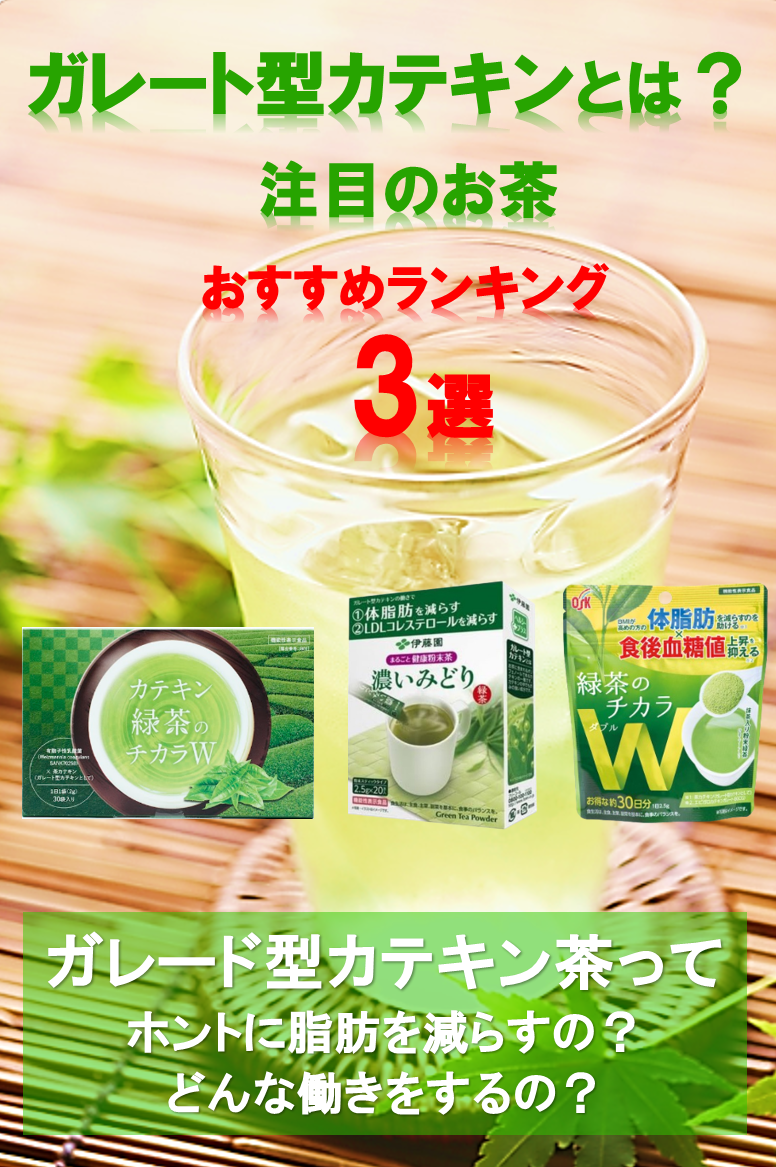 カテキン緑茶